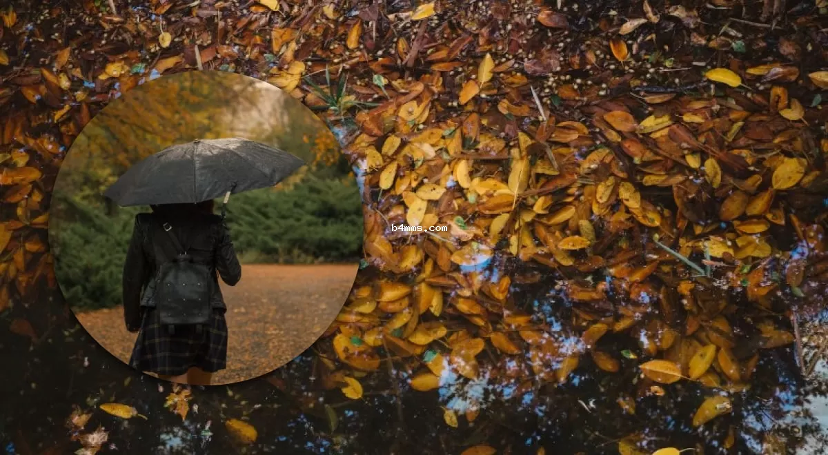 Дожди и грозы в преддверии выходных: какие области Украины столкнутся с непогодой