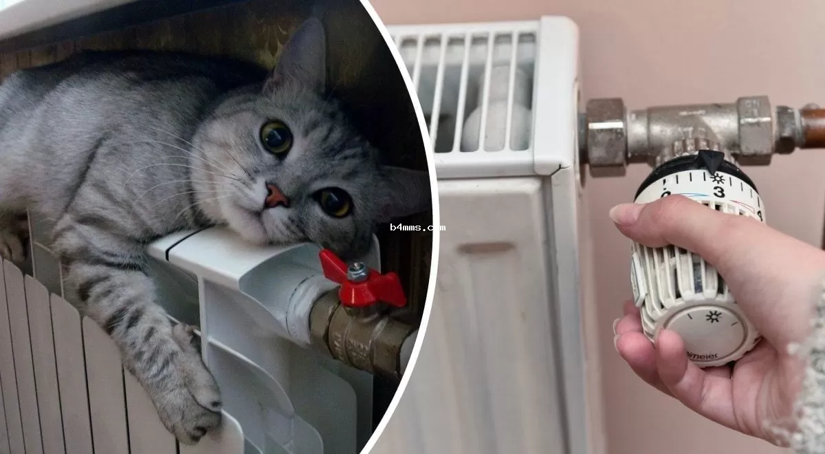 Когда украинцы смогут ощутить тепло в своих домах - комментарий Минэнерго