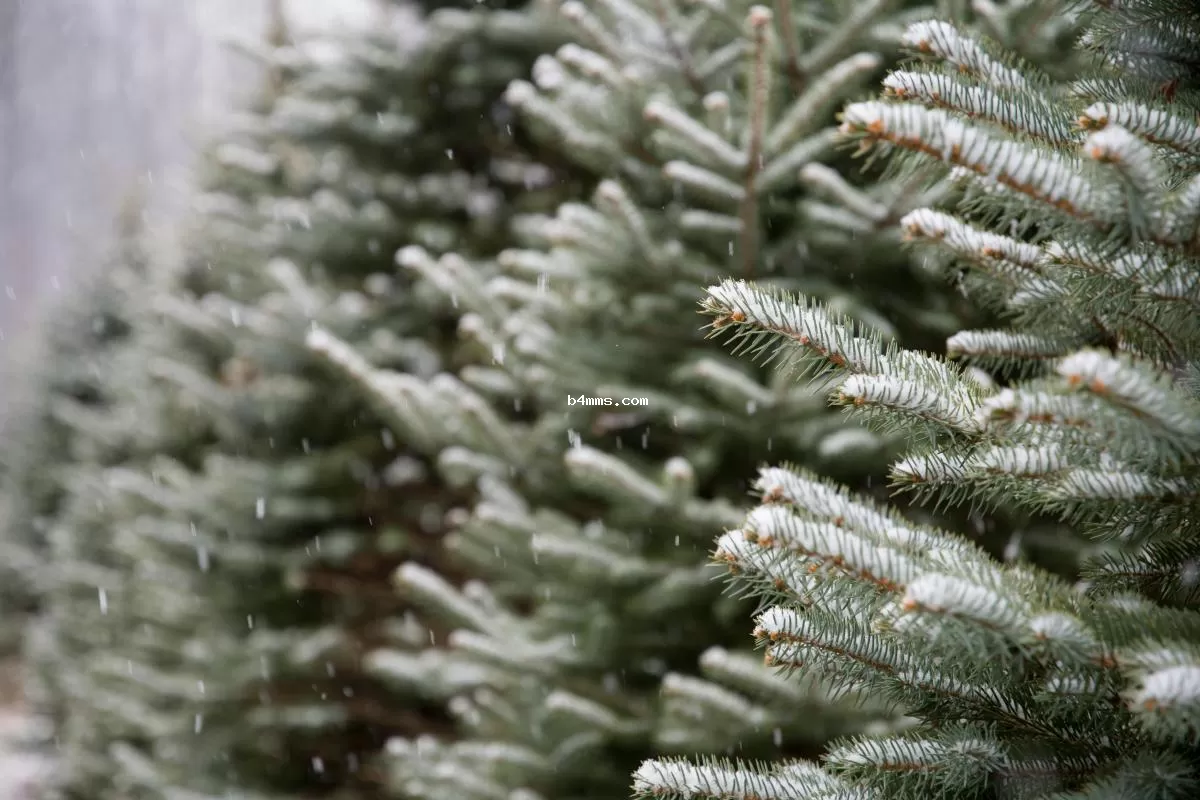 Погода ухудшится, пойдет снег: синоптики дали новый прогноз