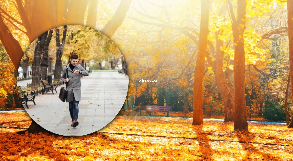 Солнечные дни до +16: где в Украине осень будет радовать теплом