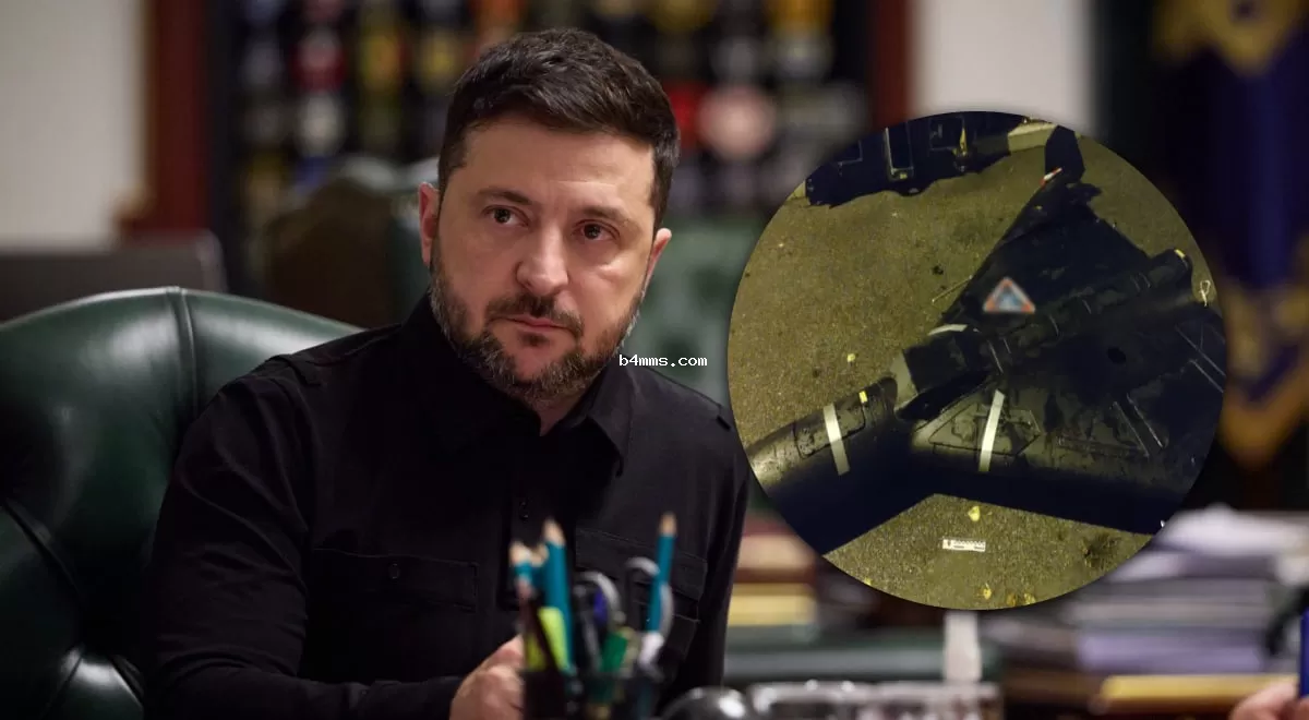 Программа защиты от беспилотников: Зеленский представил важную инициативу