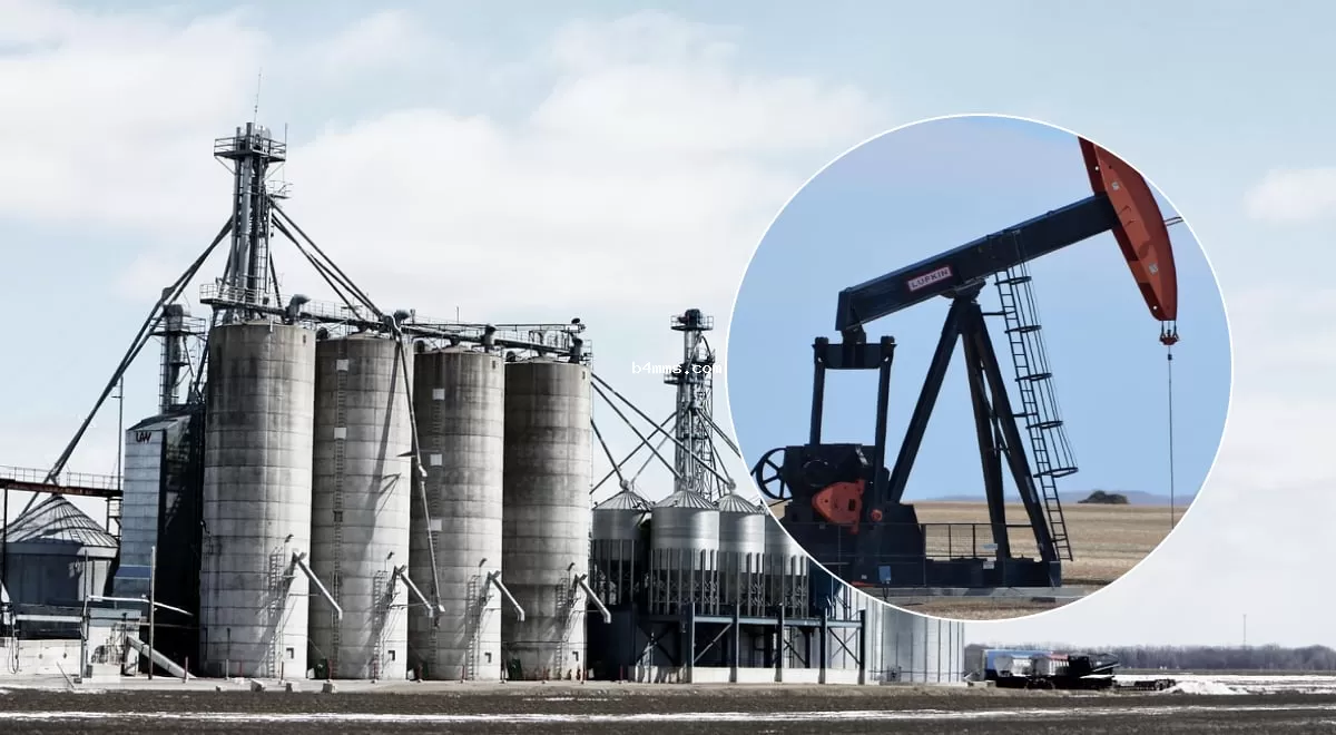 "Лазейка" в санкциях: стало известно, какая страна импортирует миллионы тонн российской нефти