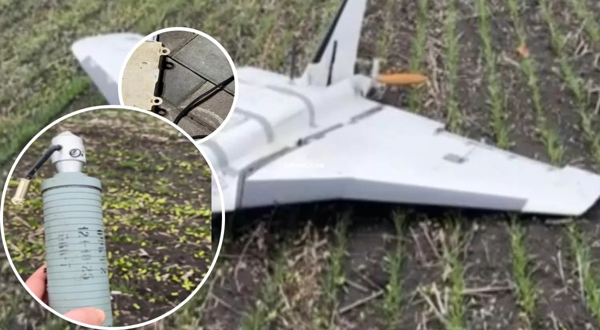 Герберы стали опаснее: "Флэш" раскрыл детали модернизации российских дронов