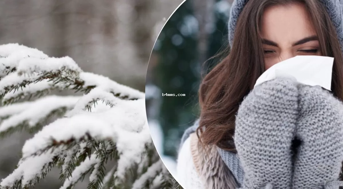 Зима удивит украинцев: синоптики рассказали, какой будет погода