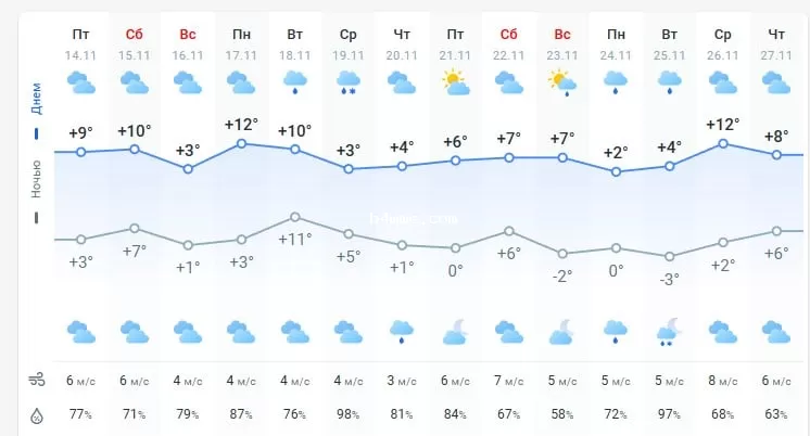 погода 15 ноября 