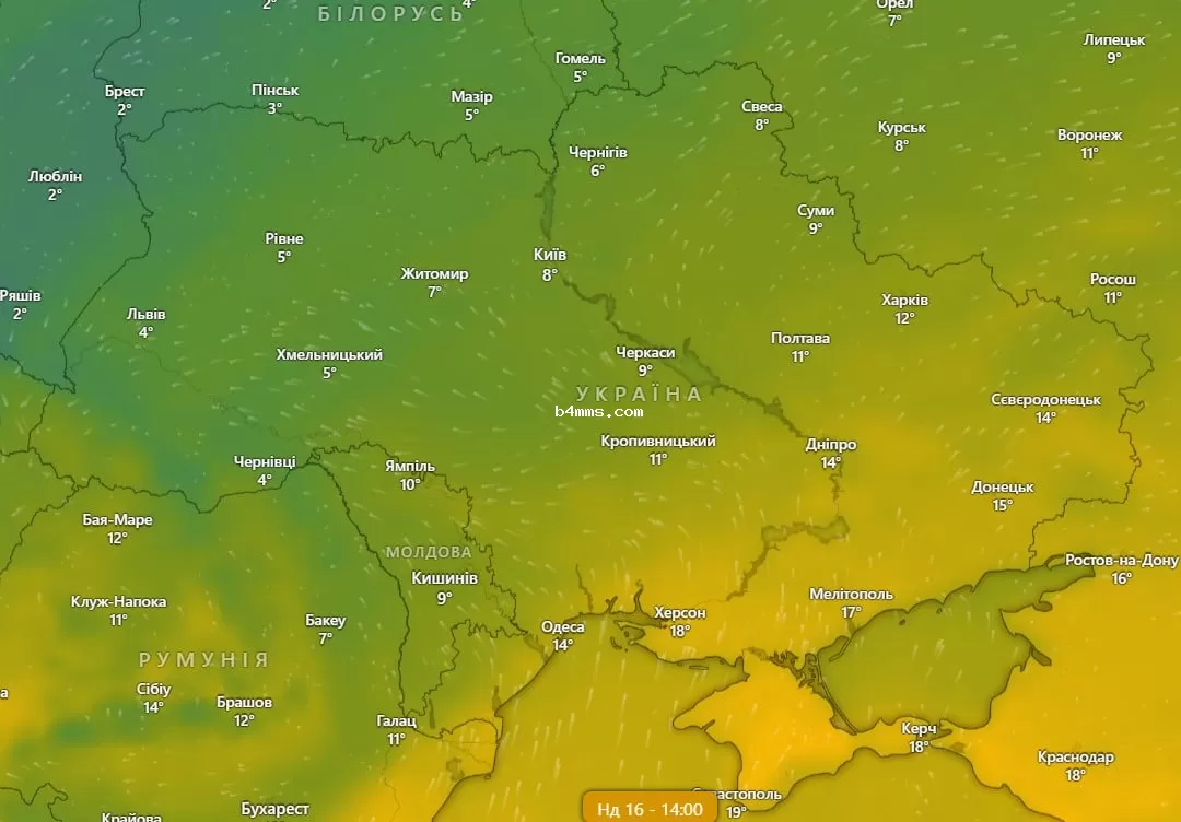 погода 21 ноября 