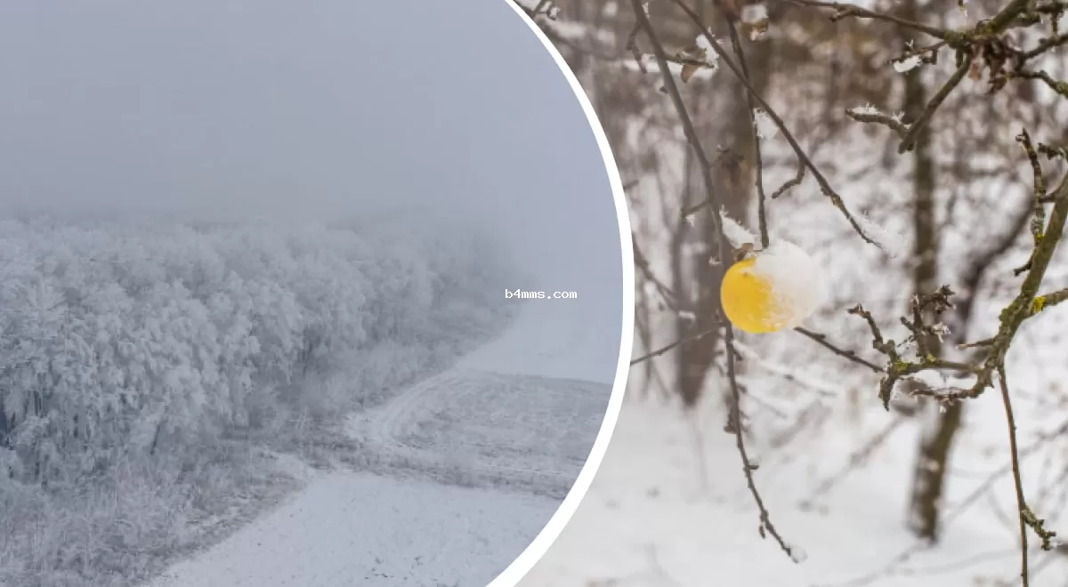 Зима на горизонте: когда снег и морозы займут Украину