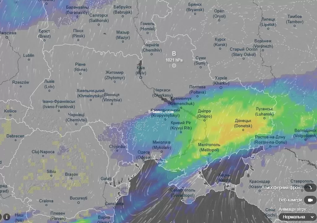 погода 19 ноября 
