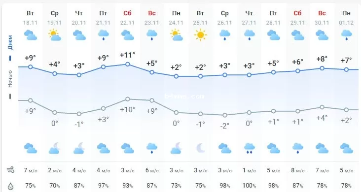 погода 19 ноября 
