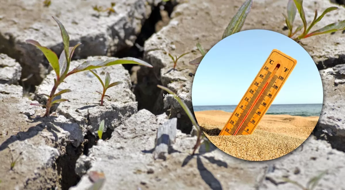 Украина превратится в сплошные степи и пустыни: ученый предупредил об изменениях климата