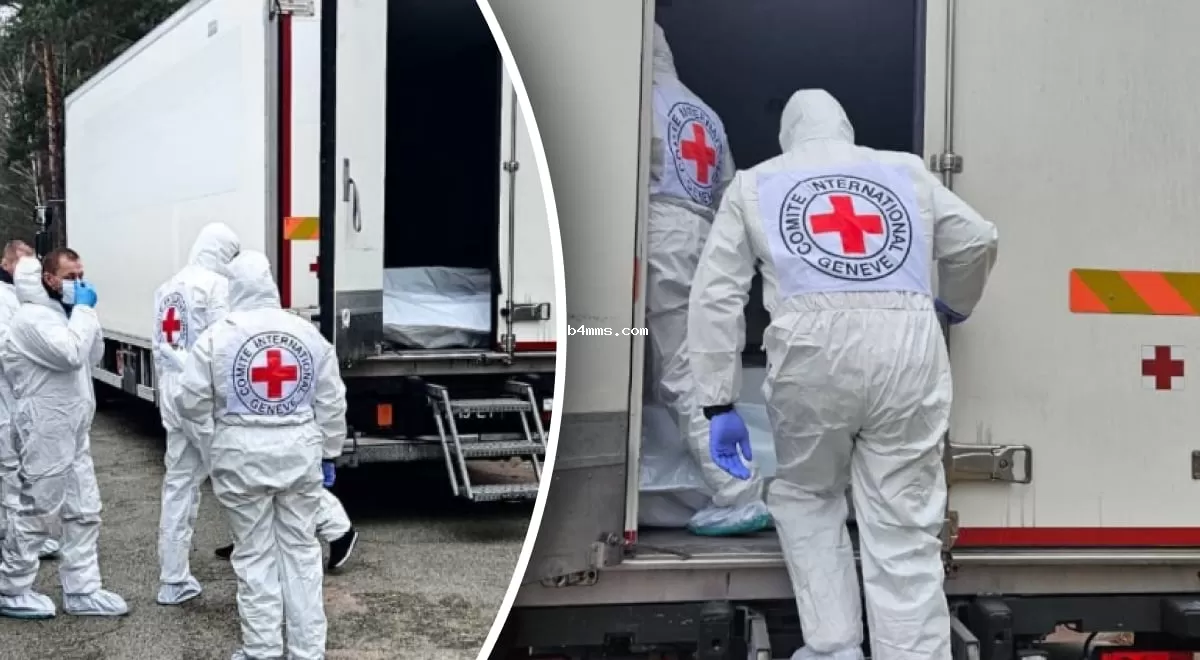 Россия передала Украине еще 1000 тел: начинается процесс идентификации погибших