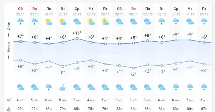 погода 23 ноября 