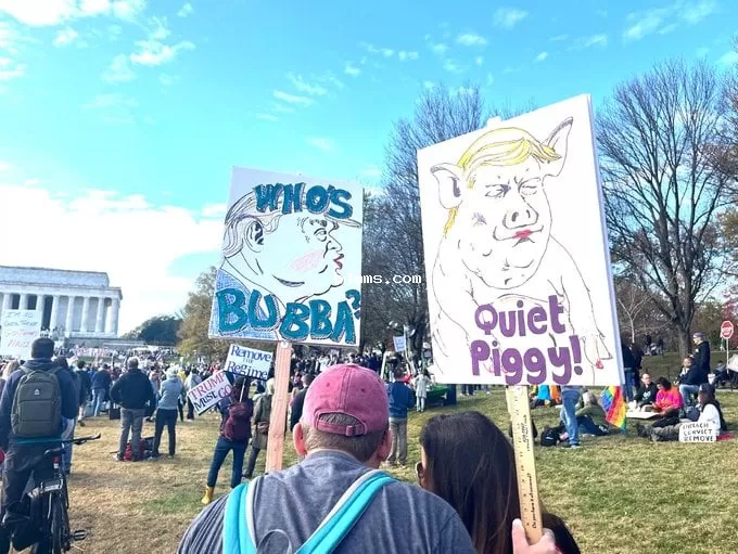 митинги в США