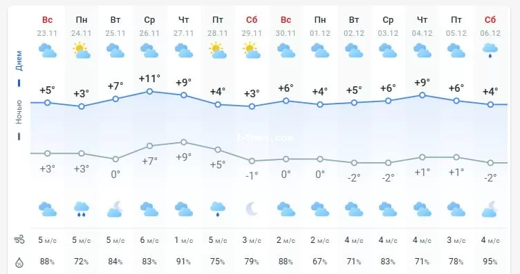 погода 24 ноября 