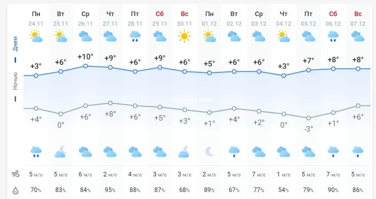 погода 25 ноября 
