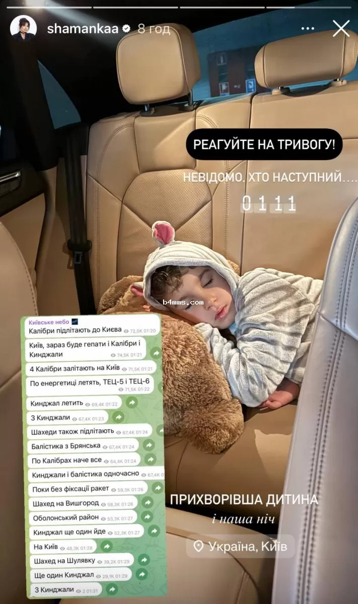 Алина Шаманская с сыном