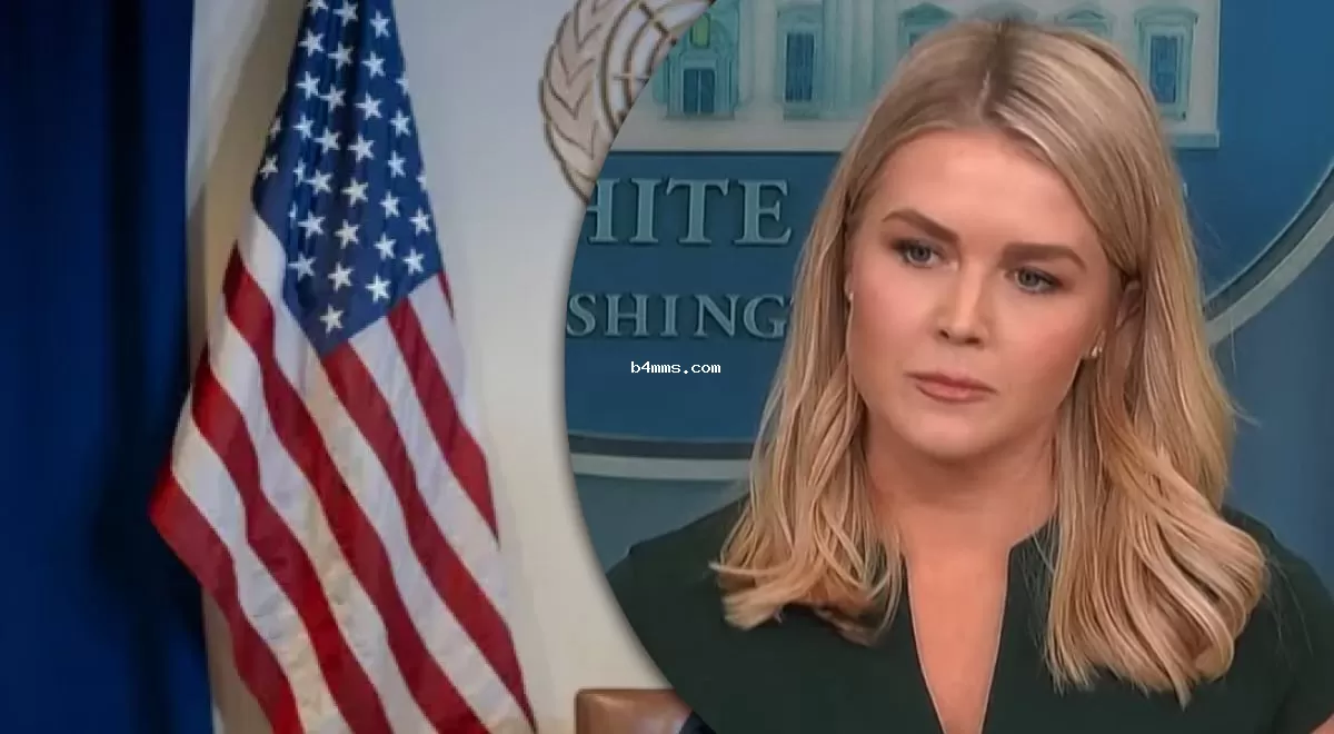 «Необходимо прояснить несколько тонких аспектов»: Белый дом прокомментировал переговорный процесс