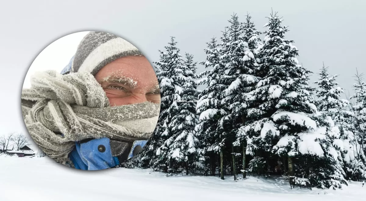 Зимние аномалии: чего ждать украинцам от зимы 2025-2026, согласно прогнозам синоптиков