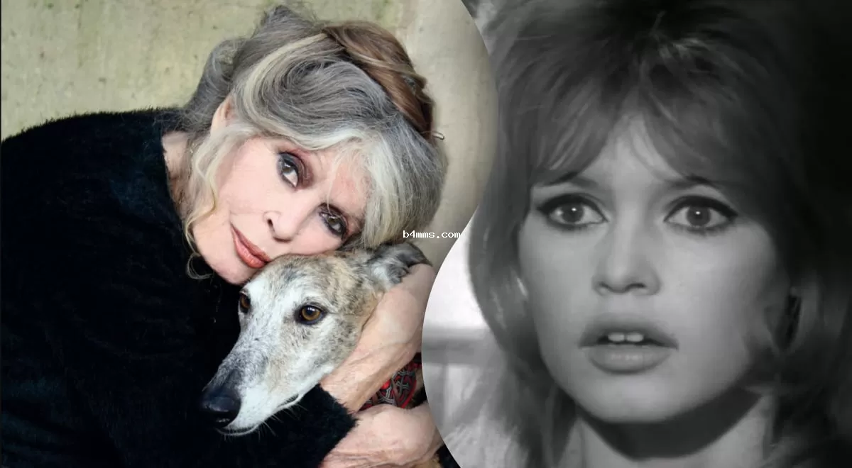 После слухов о кончине: настоящая ситуация с Брижит Бардо в данный момент