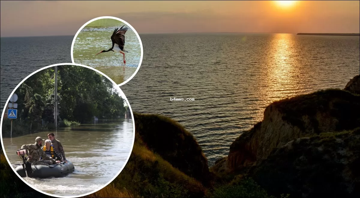 Под угрозой затопления: украинские мегаполисы могут исчезнуть к 2100 году