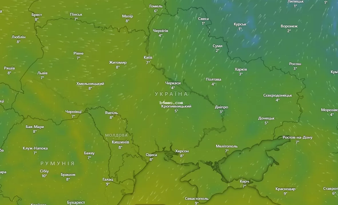 погода 11 декабря 