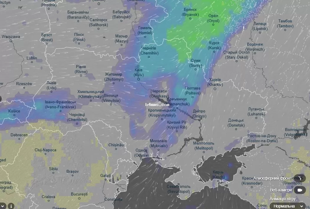погода 11 декабря 