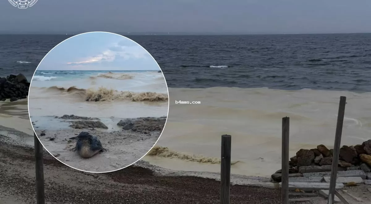 В одном городе Украины произошла настоящая экологическая катастрофа - что известно