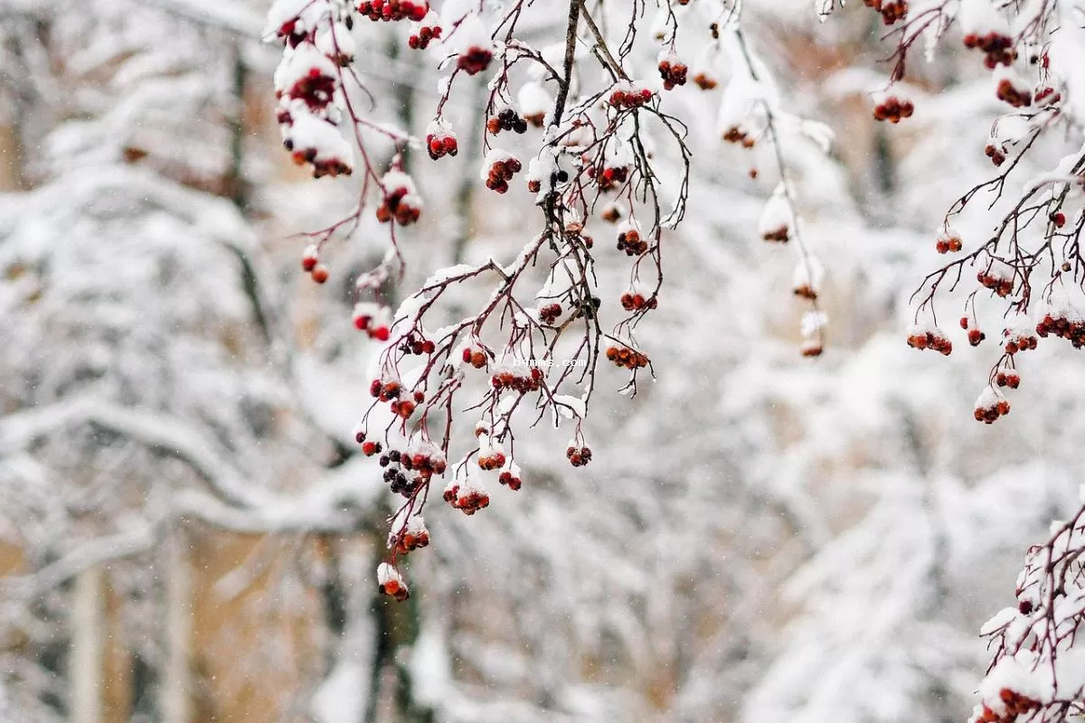 Погода в Україні