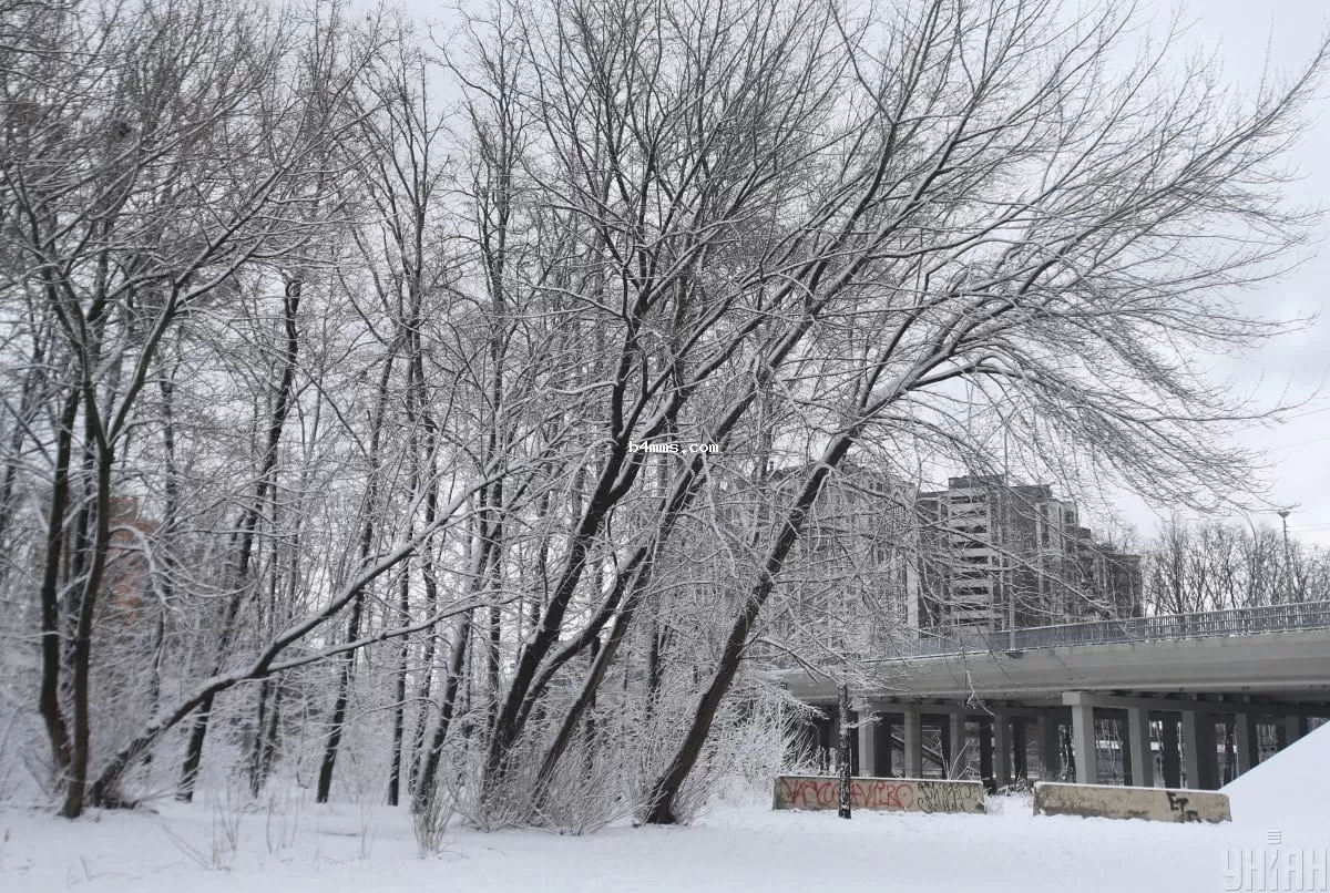 Снег, сильный ветер и мороз: Украину накрывает настоящий зимний Армагеддон