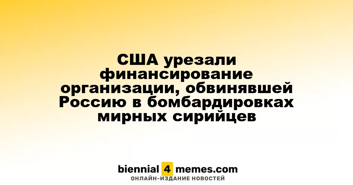США сократили финансирование организации, обвинявшей Россию в атаках на гражданских лиц в Сирии