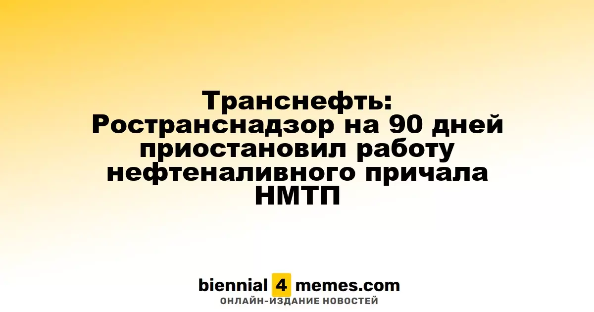 Транснефть: Ространснадзор временно остановил эксплуатацию нефтеналивного причала НМТП на 90 дней