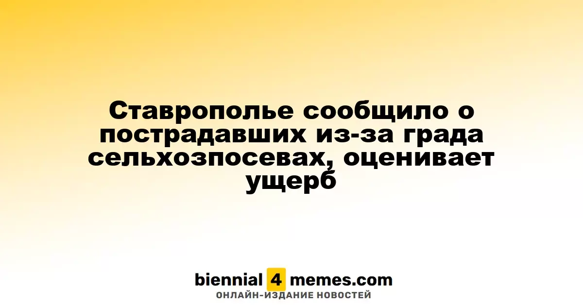 Ставрополье сообщило о пострадавших из-за града сельхозпосевах, оценивает ущерб