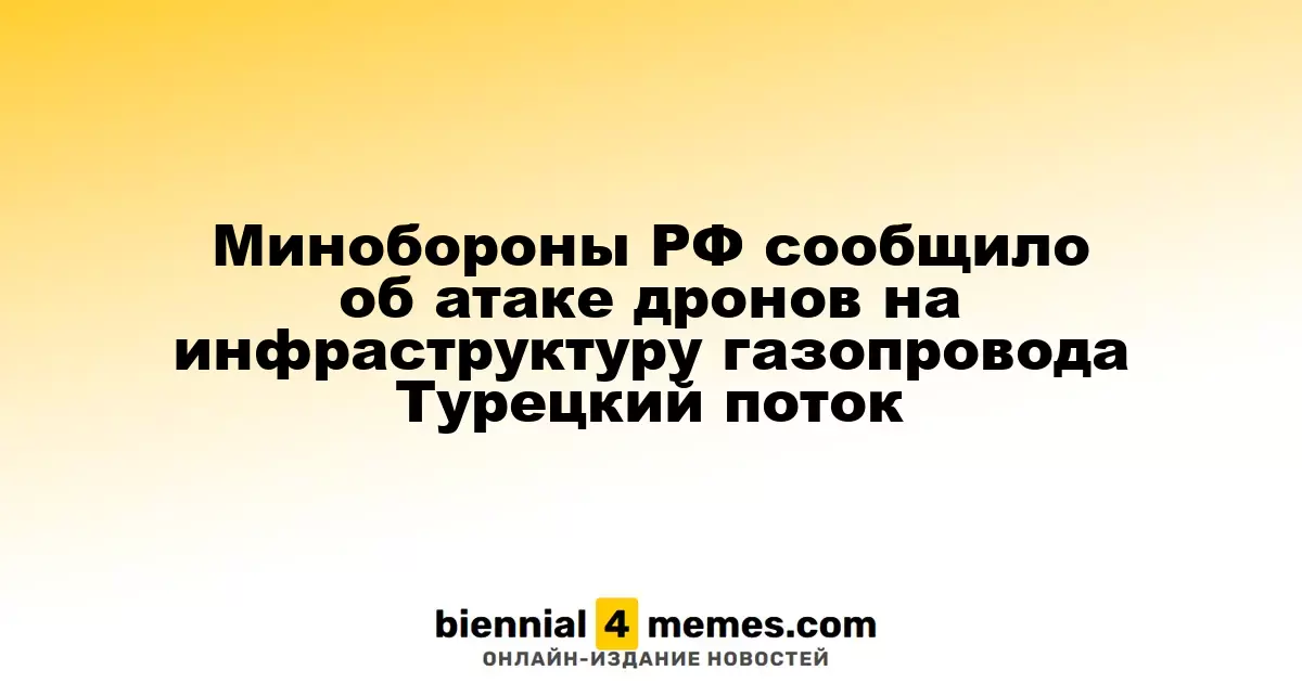 Минобороны России сообщило о беспилотной атаке на газопровод Турецкий поток