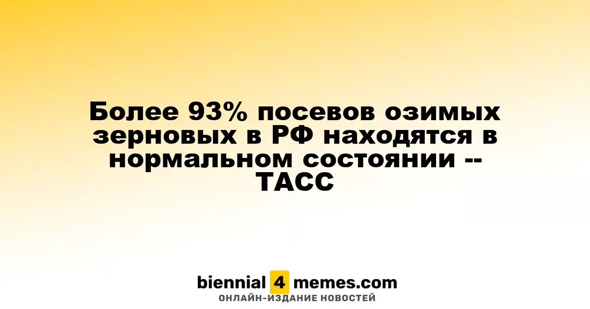 Состояние более 93% посевов озимых зерновых в России признано удовлетворительным