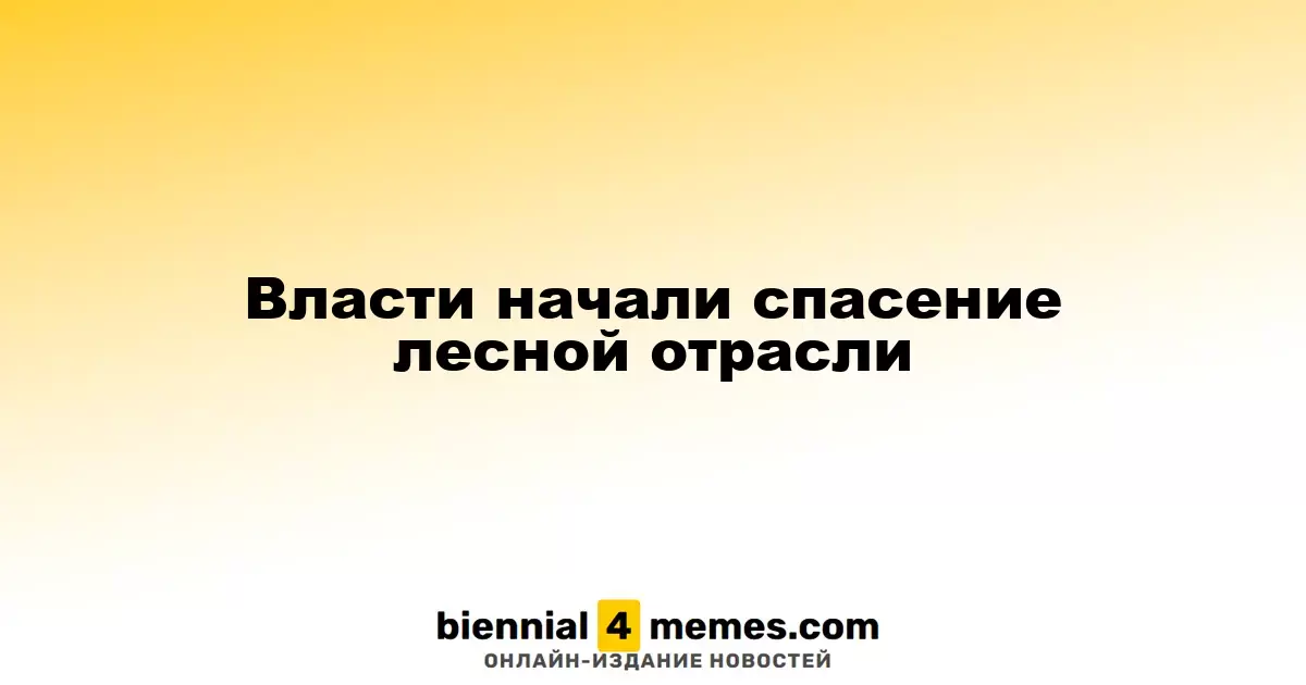 Государство приступило к поддержке лесной индустрии