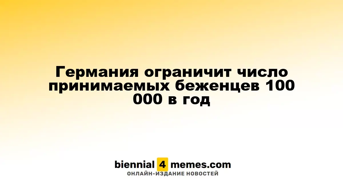 Германия установит лимит на принятие беженцев в 100 000 человек ежегодно