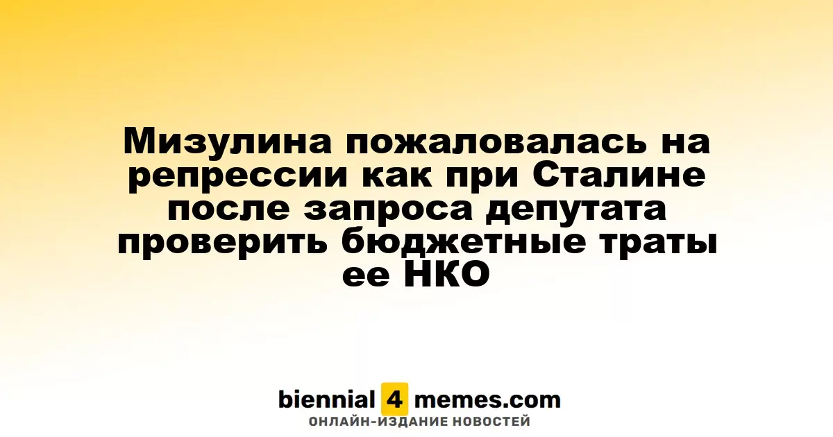 Мизулина сравнила текущие репрессии с сталинскими после запроса депутата о проверке расходов ее НКО