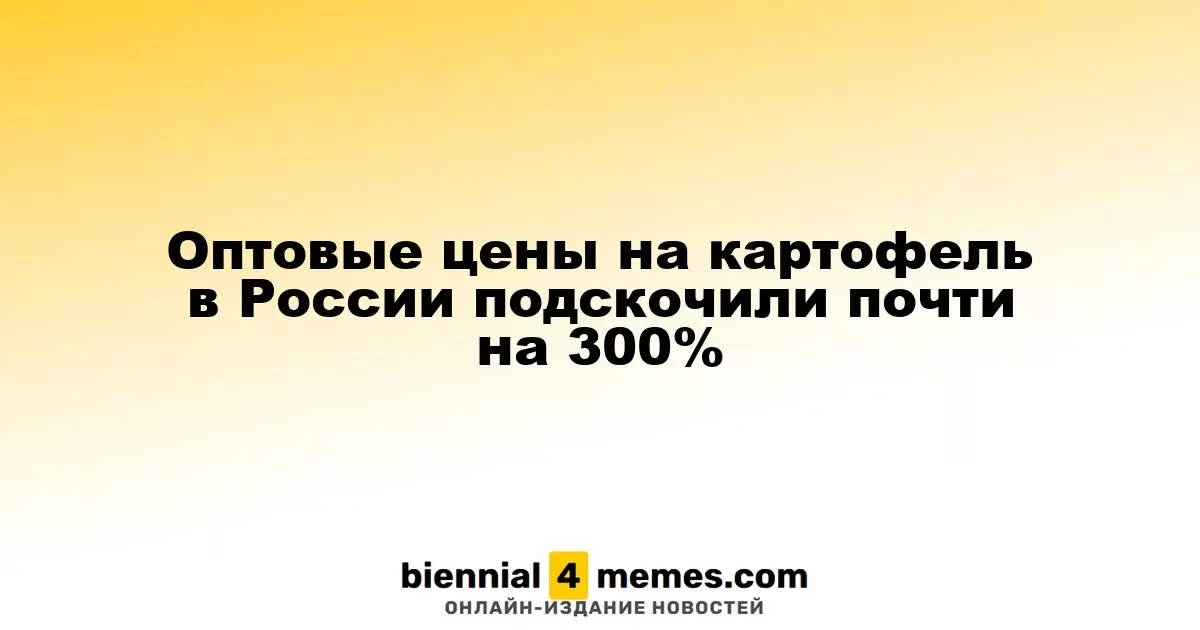 Оптовые цены на картофель в России выросли почти на 300%