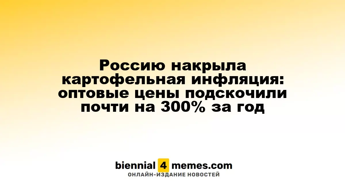 В России наблюдается картофельная инфляция: оптовые цены увеличились почти на 300% за год