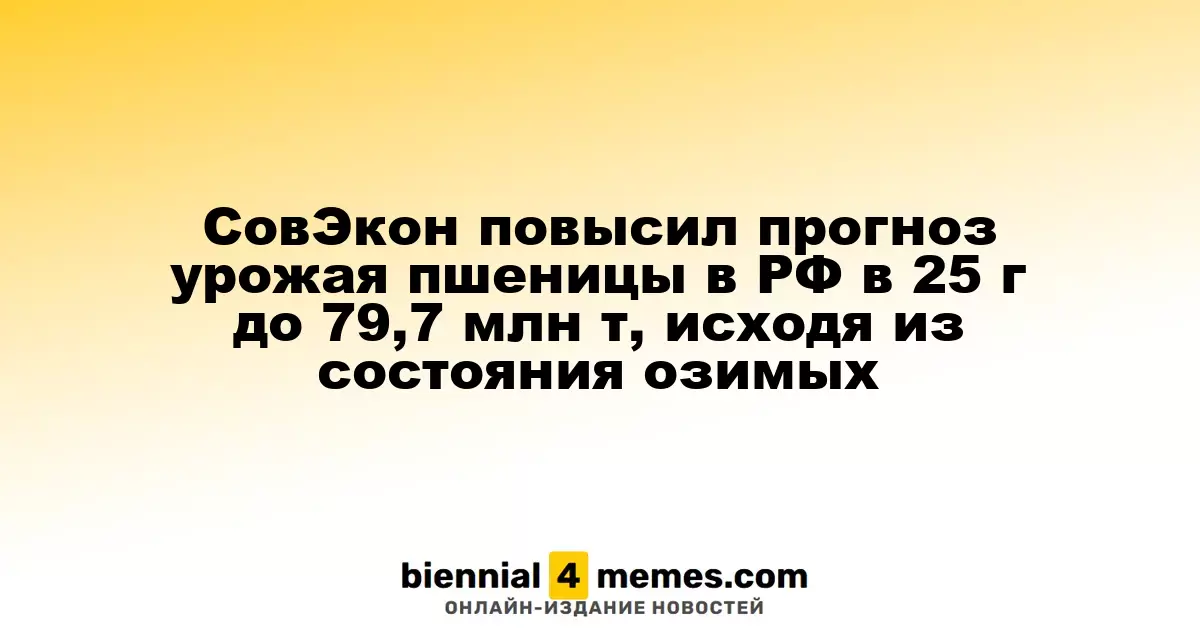 СовЭкон скорректировал прогноз сбора пшеницы в России на 2025 год до 79,7 млн тонн на основе состояния озимых