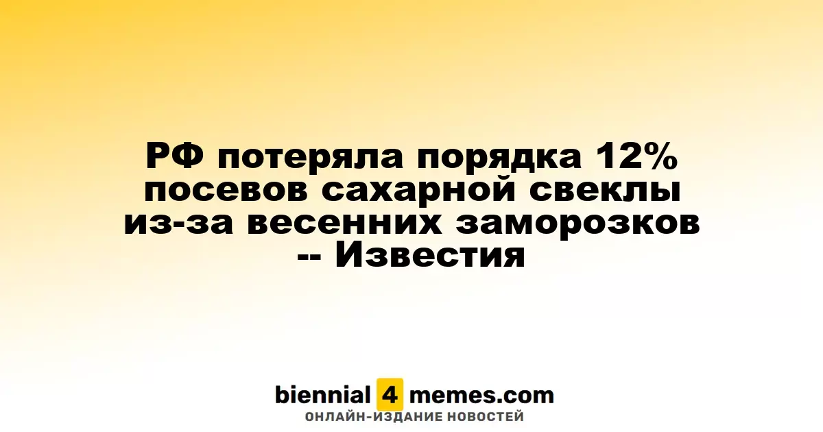 Россия утратила около 12% посевов сахарной свеклы из-за весенних холодов