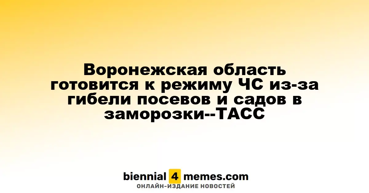Воронежская область рассматривает введение ЧС из-за ущерба от заморозков