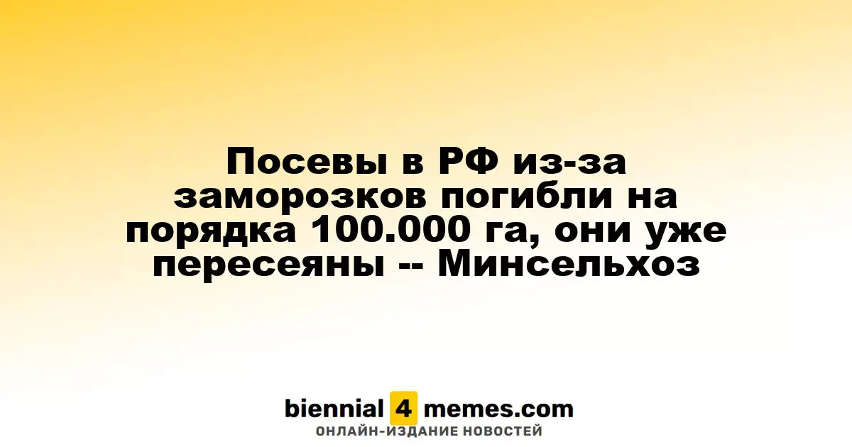 Российские агрокультуры пострадали от заморозков на 100.000 га, проведены повторные посевы — Минсельхоз