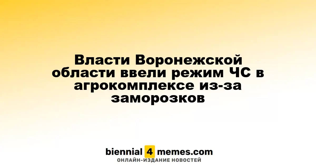 Воронежская область объявила чрезвычайную ситуацию в агросекторе из-за холодов