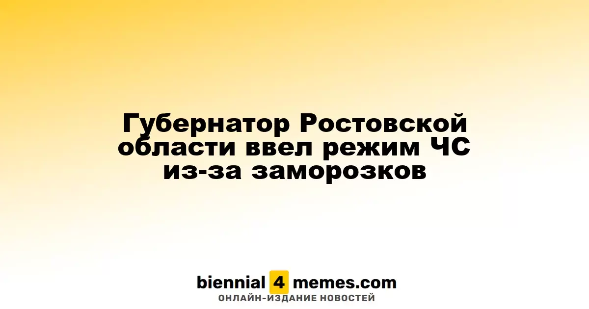 Губернатор Ростовской области объявил чрезвычайное положение из-за морозов