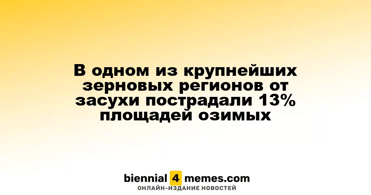 Засуха затронула 13% озимых полей в одном из ведущих зерновых регионов России