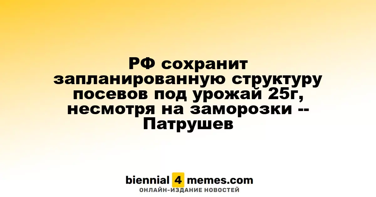 Россия сохранит намеченную структуру посевов на 2025 год, несмотря на холодные ночи — Патрушев