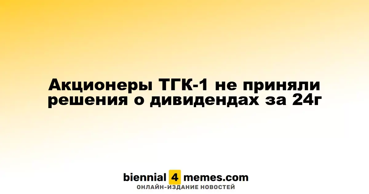 Акционеры ТГК-1 не приняли решения о дивидендах за 24г