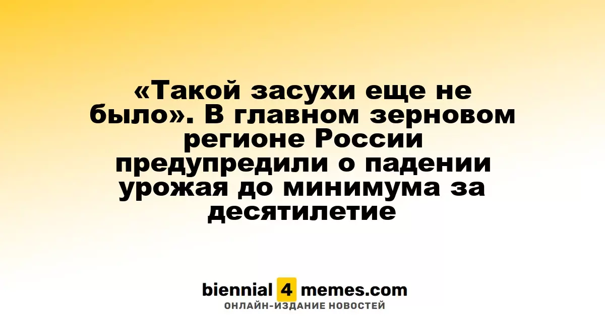 «Такой засухи еще не было». В главном зерновом регионе России предупредили о падении урожая до минимума за десятилетие