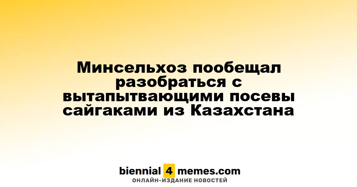 Минсельхоз пообещал разобраться с вытапытвающими посевы сайгаками из Казахстана